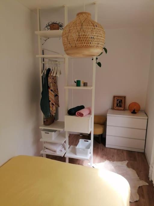 Logement Standing Wifi Vercors 'In 圣·让恩·罗亚恩斯 外观 照片
